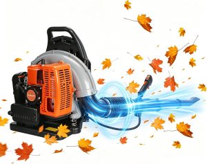 iondelce EB650