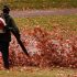 Précautions lors de l’utilisation du souffleur de feuilles
